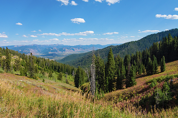 Mountain Viewpoint by Bonnie Bruno Mountain Viewpoint by Bonnie Bruno