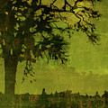 Solitude